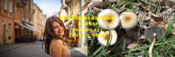 мдпв Навашино