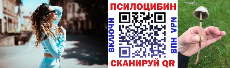 Галлюциногенные грибы мухоморы  Балашиха 